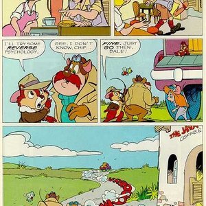 Chip n Dale Rescue Rangers 9 image 006