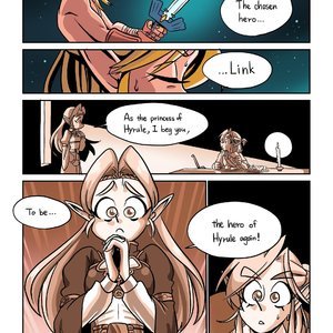 The Hero of Hyrule image 002