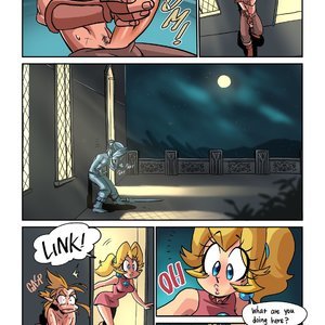 The Hero of Hyrule image 006