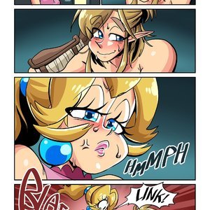 The Hero of Hyrule image 014