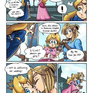 The Hero of Hyrule image 022