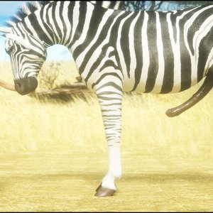 CGS32 - Wild Dreams image 013
