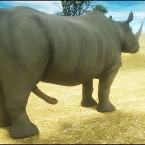 CGS32 - Wild Dreams image 041
