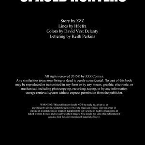 Spaced Hunters image 002