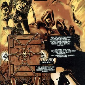Tarot - Witch of the Black Rose 001 (BroadSword Comics) image 006