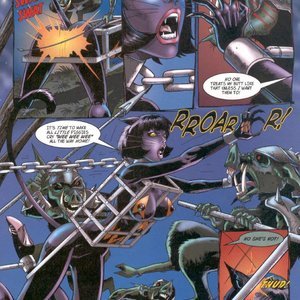 Tarot - Witch of the Black Rose 020 (BroadSword Comics) image 008