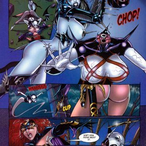 Tarot - Witch of the Black Rose 021 (BroadSword Comics) image 009