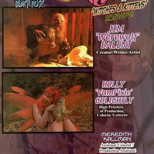 Tarot - Witch of the Black Rose 029 (BroadSword Comics) image 002