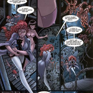 Tarot - Witch of the Black Rose 030 (BroadSword Comics) image 015