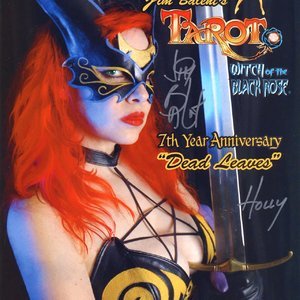 Tarot - Witch of the Black Rose 043 (BroadSword Comics) image 004