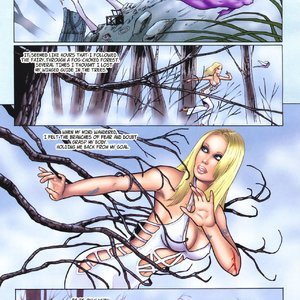 Tarot - Witch of the Black Rose 049 (BroadSword Comics) image 014