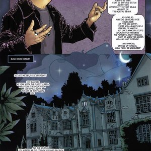 Tarot - Witch of the Black Rose 058 (BroadSword Comics) image 022