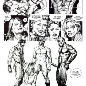 Secret Society (Bruno Coq Comics) image 014
