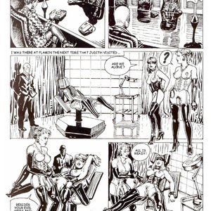 Secret Society (Bruno Coq Comics) image 032