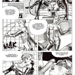 Secret Society (Bruno Coq Comics) image 033