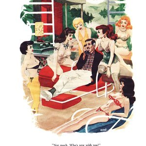 Cons de Fee - Erotic Art of Wallace Wood (Classic Comics Collection) image 019