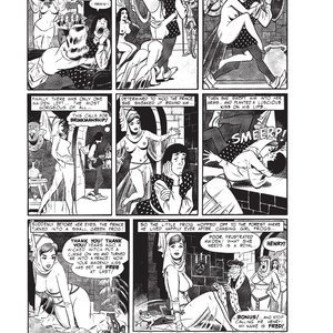 Cons de Fee - Erotic Art of Wallace Wood (Classic Comics Collection) image 036