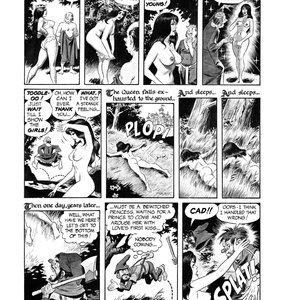 Cons de Fee - Erotic Art of Wallace Wood (Classic Comics Collection) image 040