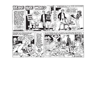 Cons de Fee - Erotic Art of Wallace Wood (Classic Comics Collection) image 054