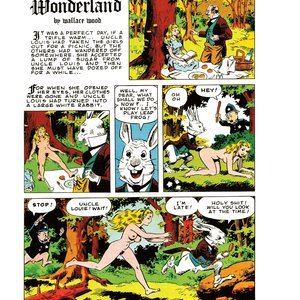 Cons de Fee - Erotic Art of Wallace Wood (Classic Comics Collection) image 074