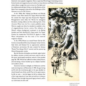 Cons de Fee - Erotic Art of Wallace Wood (Classic Comics Collection) image 197