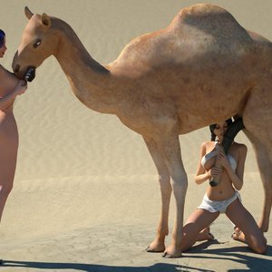 Camel Show (DizzyDills Comics) image 002