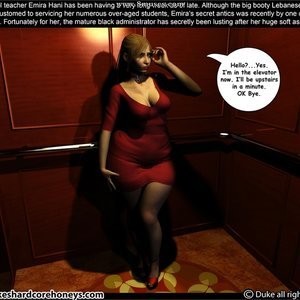 Mrs Hani - Issue 7 (DukesHardcoreHoneys Comics) image 002