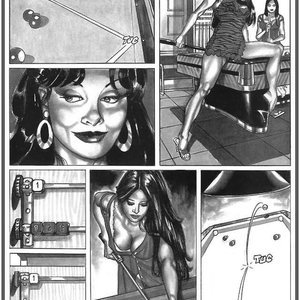 Bitch in Heat 09 (EROS Comics) image 005