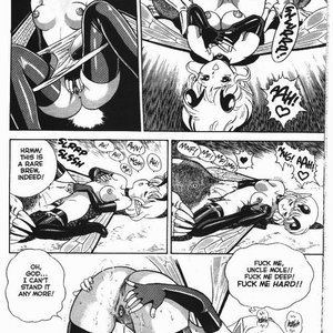 The New Bondage Fairies - Issue 1 (EROS Comics) image 016