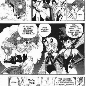 The New Bondage Fairies - Issue 1 (EROS Comics) image 021