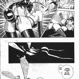 The New Bondage Fairies - Issue 2 (EROS Comics) image 009