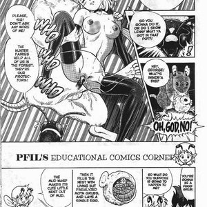 The New Bondage Fairies - Issue 2 (EROS Comics) image 013