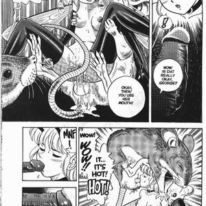 The New Bondage Fairies - Issue 2 (EROS Comics) image 015