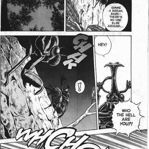 The New Bondage Fairies - Issue 3 (EROS Comics) image 002