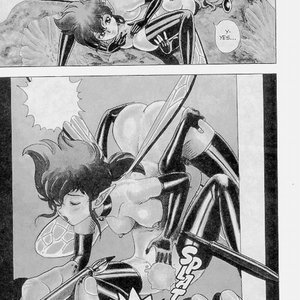 The New Bondage Fairies - Issue 5 (EROS Comics) image 004