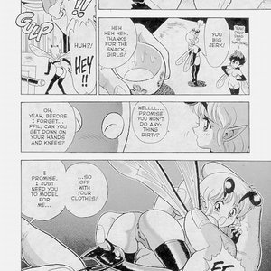 The New Bondage Fairies - Issue 5 (EROS Comics) image 009