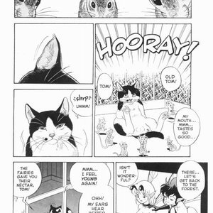 The New Bondage Fairies - Issue 9 (EROS Comics) image 017