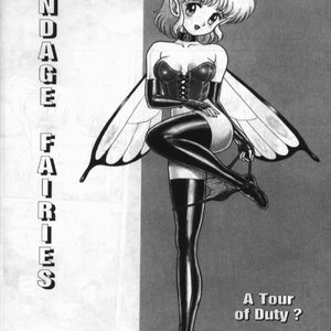 The Original Bondage Fairies - Issue 1 (EROS Comics) image 002