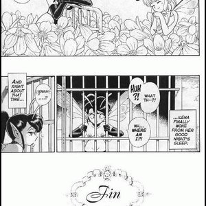 The Original Bondage Fairies - Issue 11 (EROS Comics) image 028