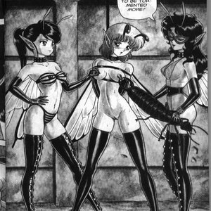 The Original Bondage Fairies - Issue 2 (EROS Comics) image 004