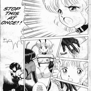 The Original Bondage Fairies - Issue 2 (EROS Comics) image 017