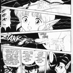 The Original Bondage Fairies - Issue 2 (EROS Comics) image 022