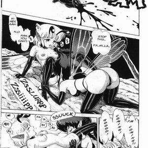 The Original Bondage Fairies - Issue 6 (EROS Comics) image 009