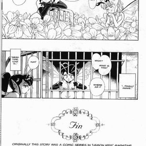 The Original Bondage Fairies - Issue 6 (EROS Comics) image 031