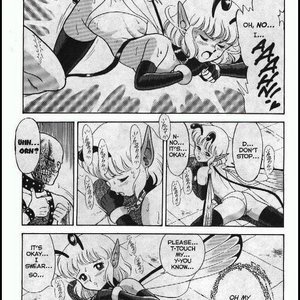 The Original Bondage Fairies - Issue 7 (EROS Comics) image 009
