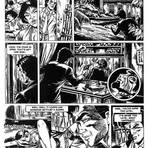 Hot Nights In Rangoon (EROS Comics) image 067