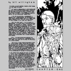Ironwood - Issue 1 (EROS Comics) image 005