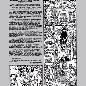 Ironwood - Issue 1 (EROS Comics) image 040