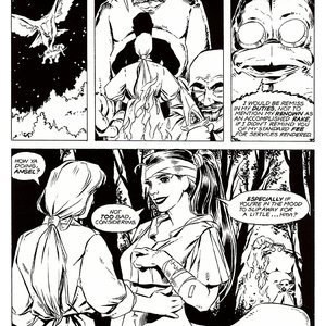 Ironwood - Issue 2 (EROS Comics) image 020