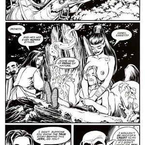 Ironwood - Issue 2 (EROS Comics) image 026